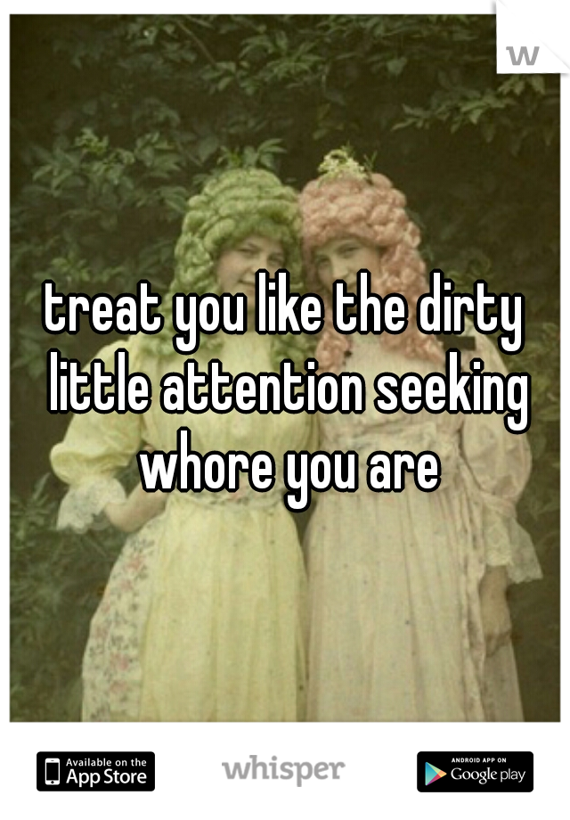 treat you like the dirty little attention seeking whore you are