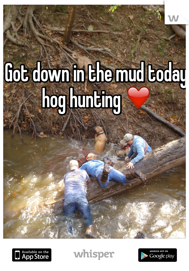 Got down in the mud today hog hunting ❤️