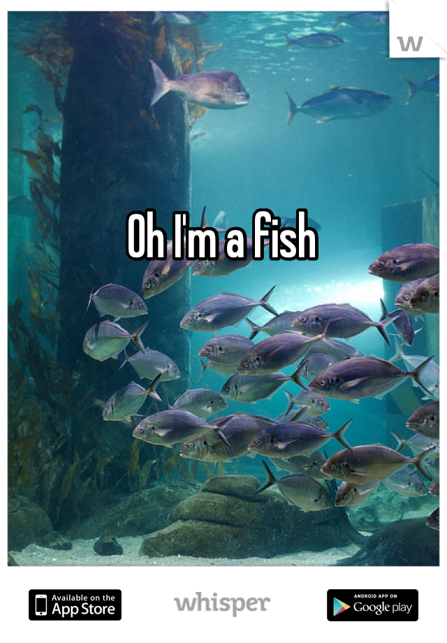 Oh I'm a fish 