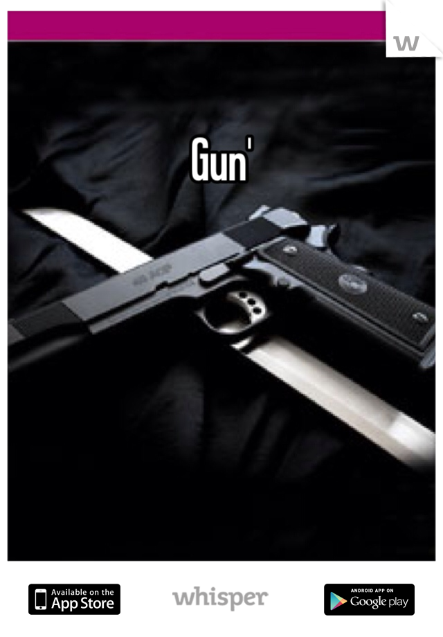 Gun'