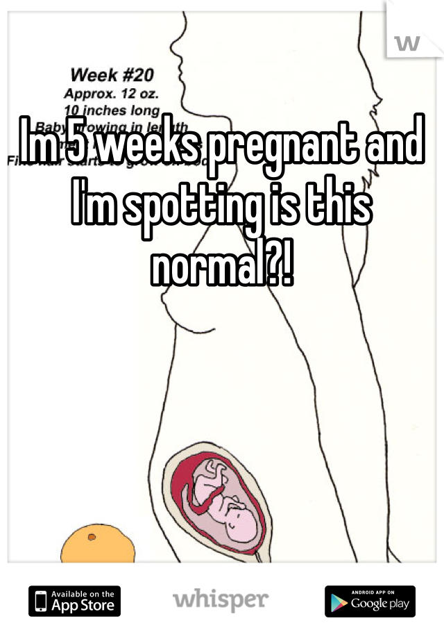Im 5 weeks pregnant and I'm spotting is this normal?!