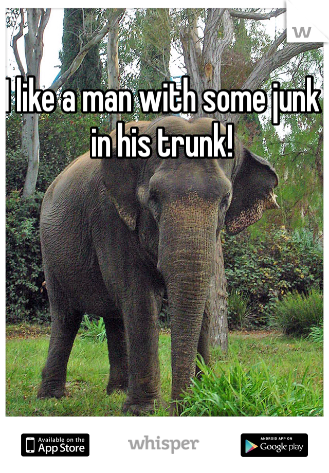 I like a man with some junk in his trunk! 