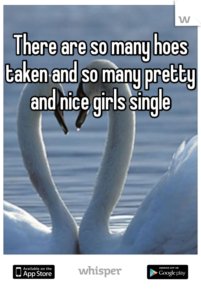 There are so many hoes taken and so many pretty and nice girls single 