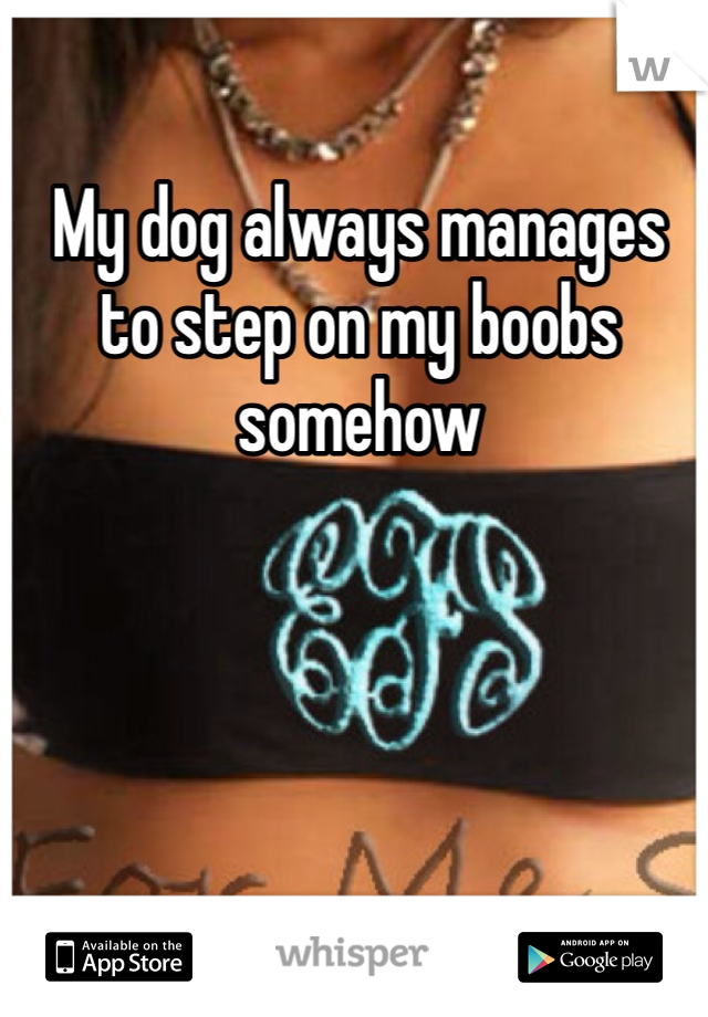 My dog always manages to step on my boobs somehow 