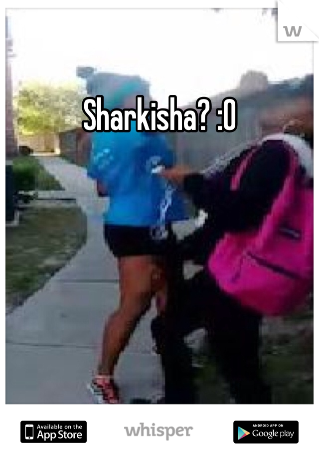 Sharkisha? :O