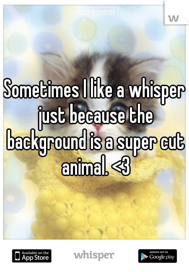 Sometimes I like a whisper just because the background is a super cut animal. <3