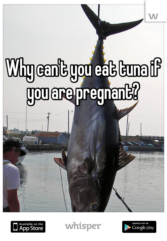 Why can't you eat tuna if you are pregnant?