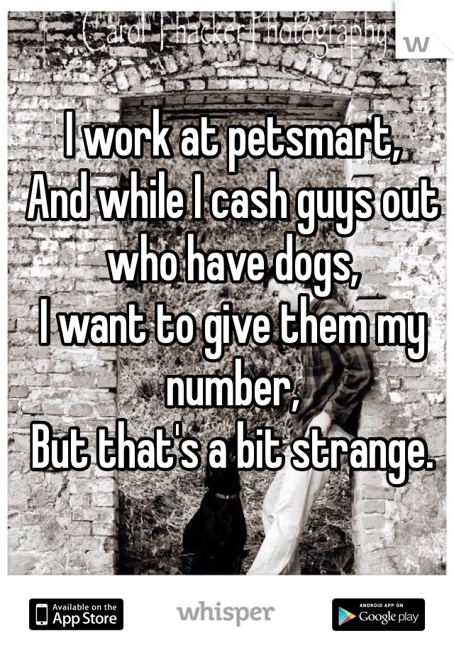 I work at petsmart, 
And while I cash guys out who have dogs,
I want to give them my number,
But that's a bit strange.
