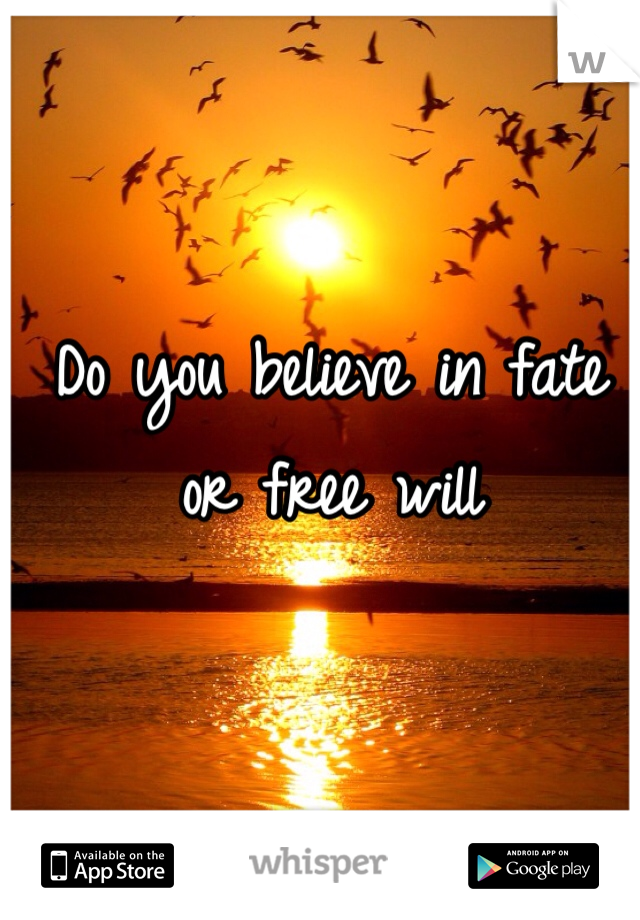 Do you believe in fate or free will