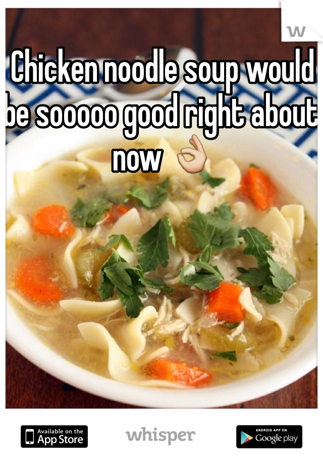 Chicken noodle soup would be sooooo good right about now 👌
