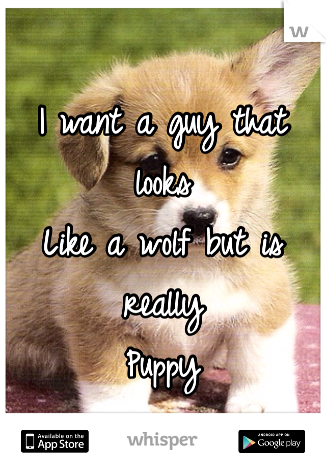 I want a guy that looks
Like a wolf but is really
Puppy 