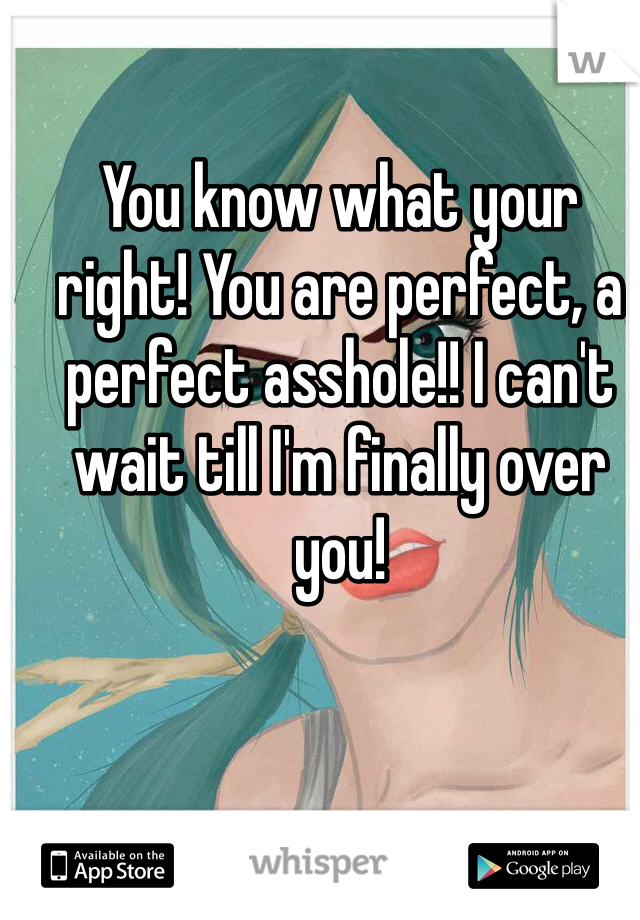 You know what your right! You are perfect, a perfect asshole!! I can't wait till I'm finally over you!