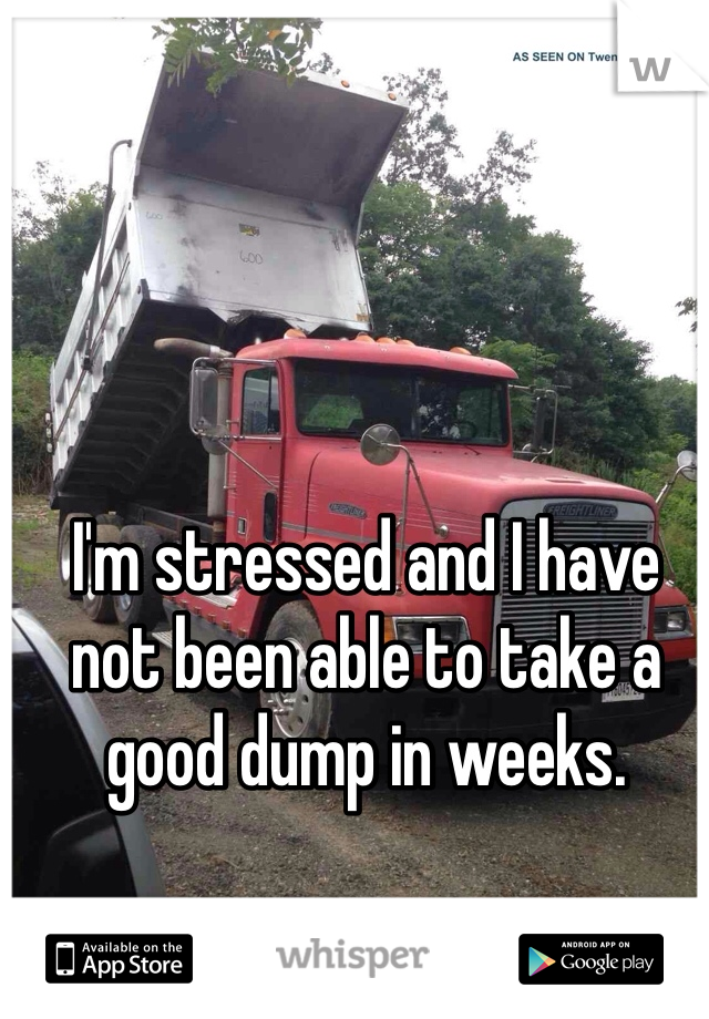 I'm stressed and I have not been able to take a good dump in weeks. 