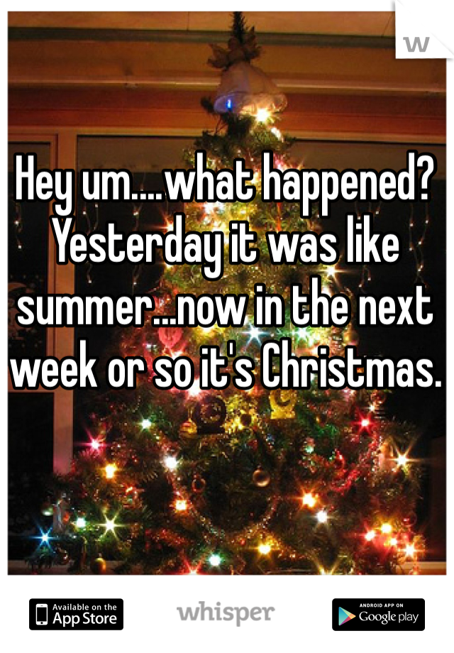 Hey um....what happened? Yesterday it was like summer...now in the next week or so it's Christmas. 
