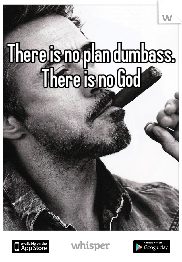 There is no plan dumbass. There is no God