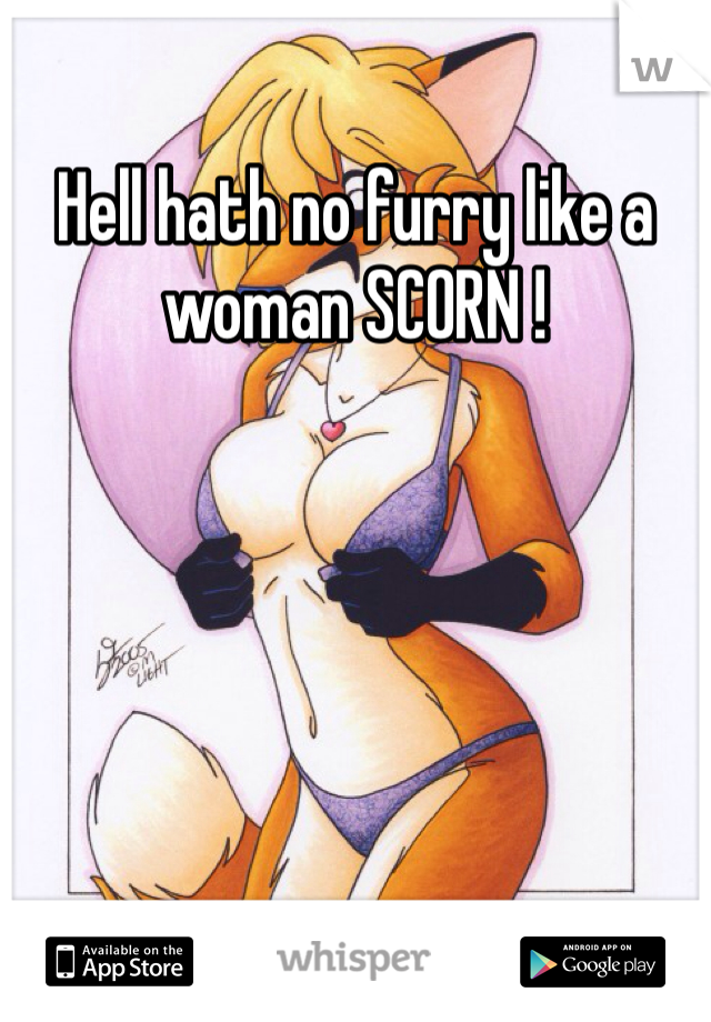 Hell hath no furry like a woman SCORN !