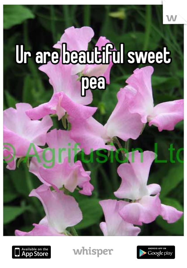 Ur are beautiful sweet pea