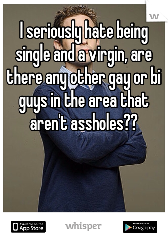 I seriously hate being single and a virgin, are there any other gay or bi guys in the area that aren't assholes??