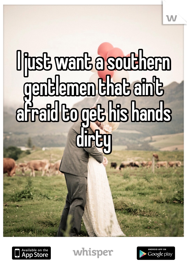 I just want a southern gentlemen that ain't afraid to get his hands dirty  
