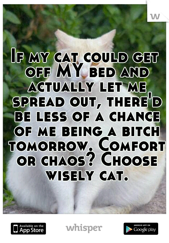 If my cat could get off MY bed and actually let me spread out, there'd be less of a chance of me being a bitch tomorrow. Comfort or chaos? Choose wisely cat.