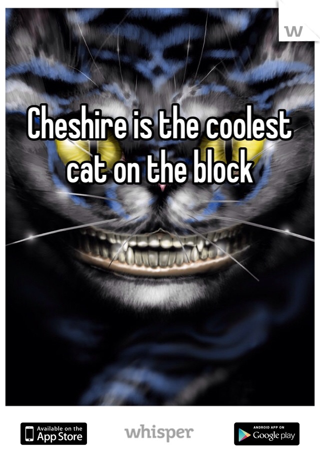 Cheshire is the coolest cat on the block
