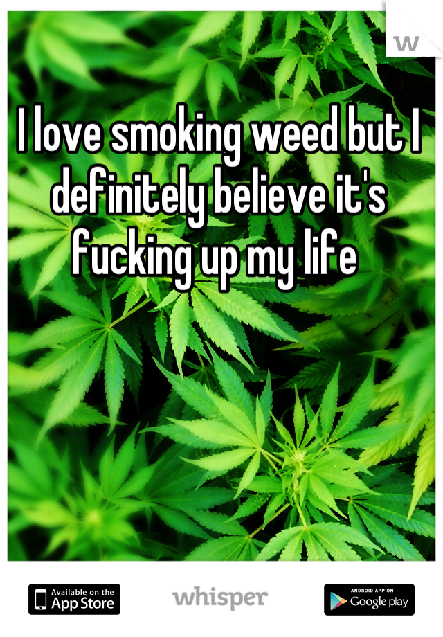 I love smoking weed but I definitely believe it's fucking up my life 