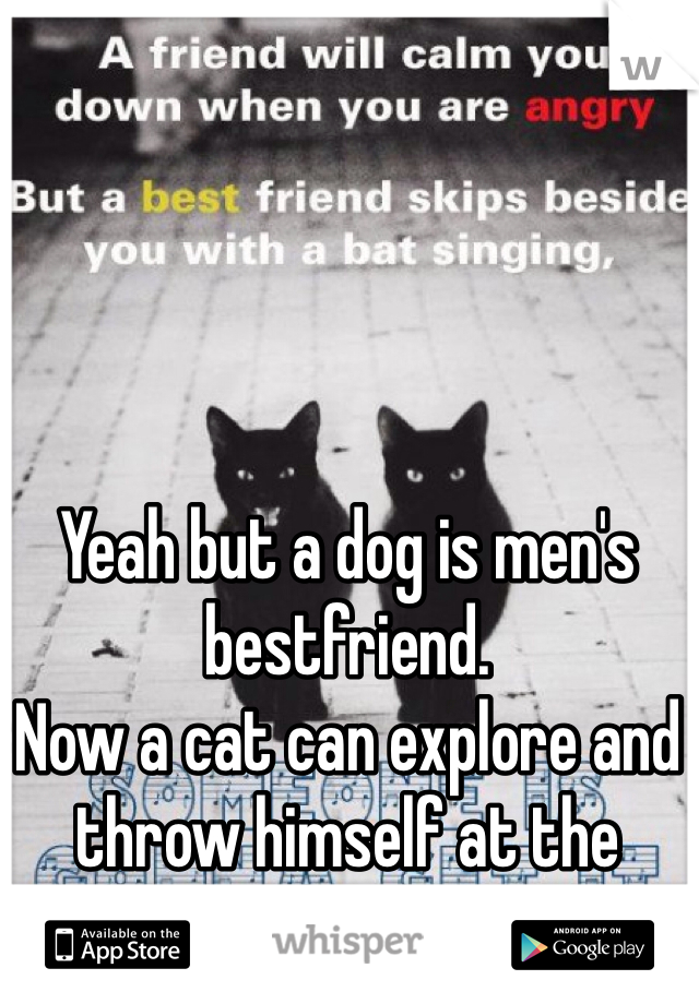 Yeah but a dog is men's bestfriend.
Now a cat can explore and throw himself at the enemy
