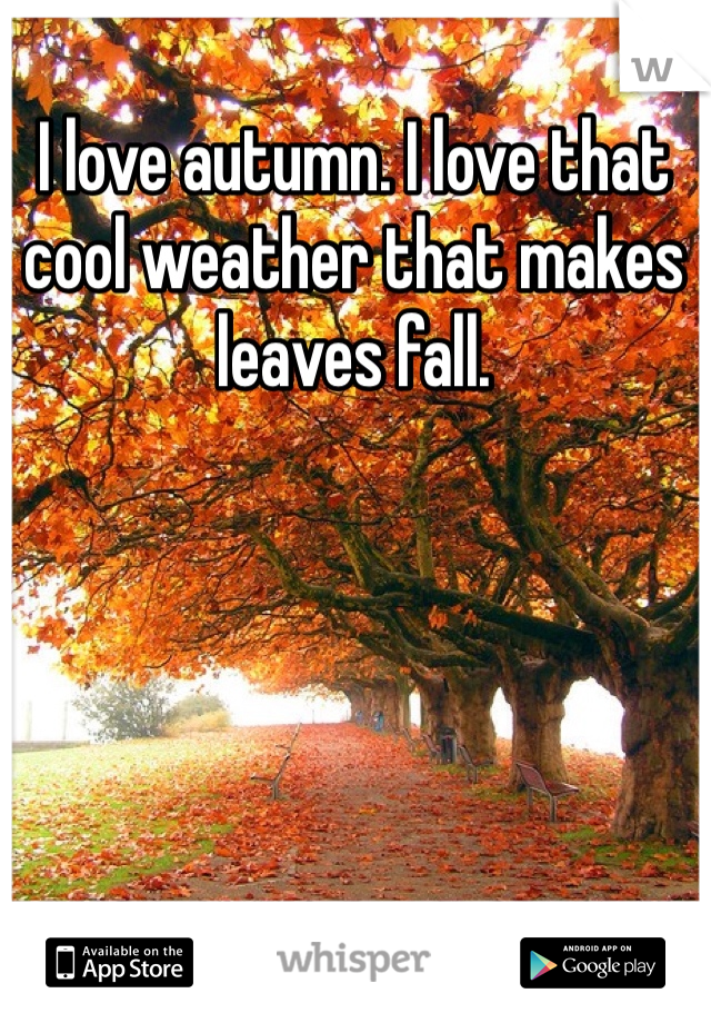 I love autumn. I love that cool weather that makes leaves fall. 