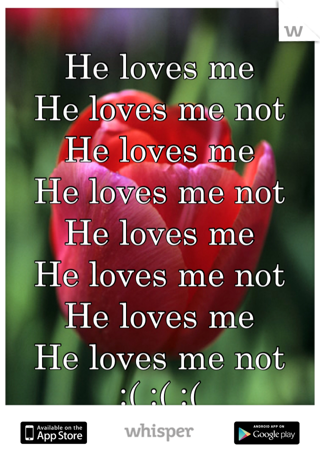 He loves me
He loves me not
He loves me 
He loves me not
He loves me
He loves me not
He loves me 
He loves me not
:( :( :(