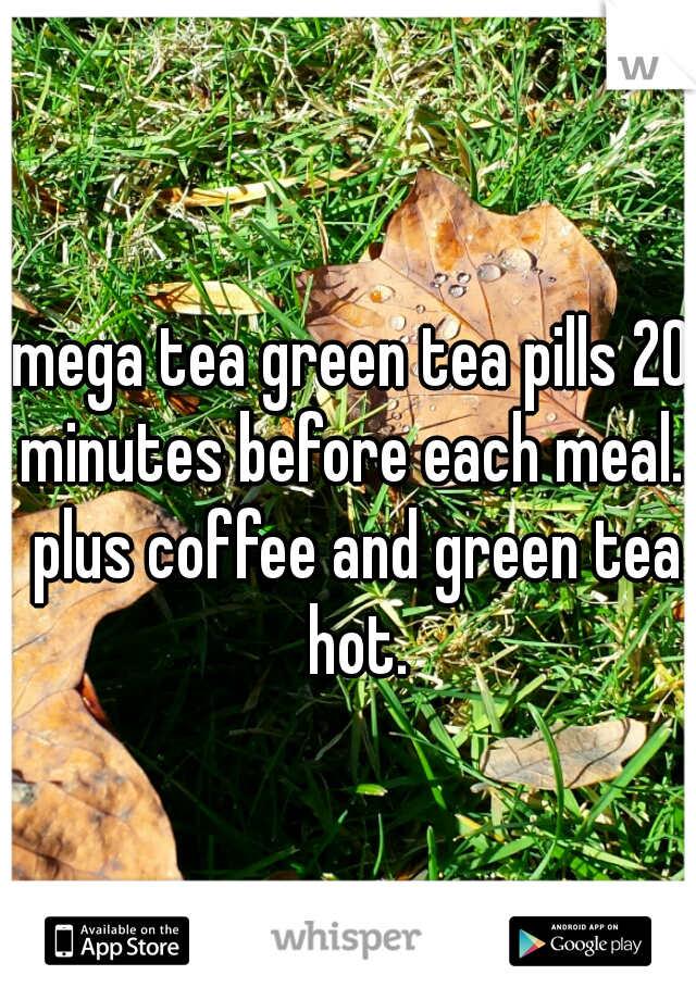 mega tea green tea pills 20 minutes before each meal.. plus coffee and green tea hot.