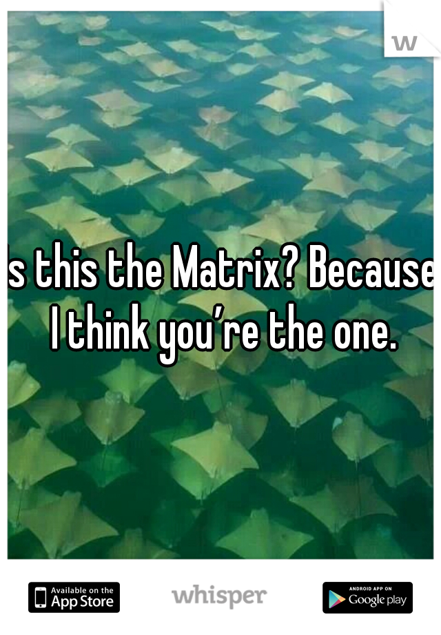 Is this the Matrix? Because I think you’re the one.