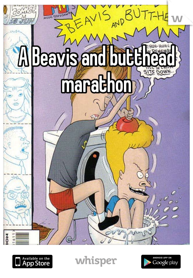 A Beavis and butthead marathon 