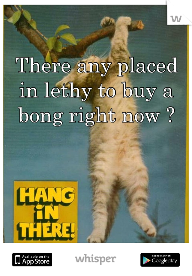 There any placed in lethy to buy a bong right now ?
