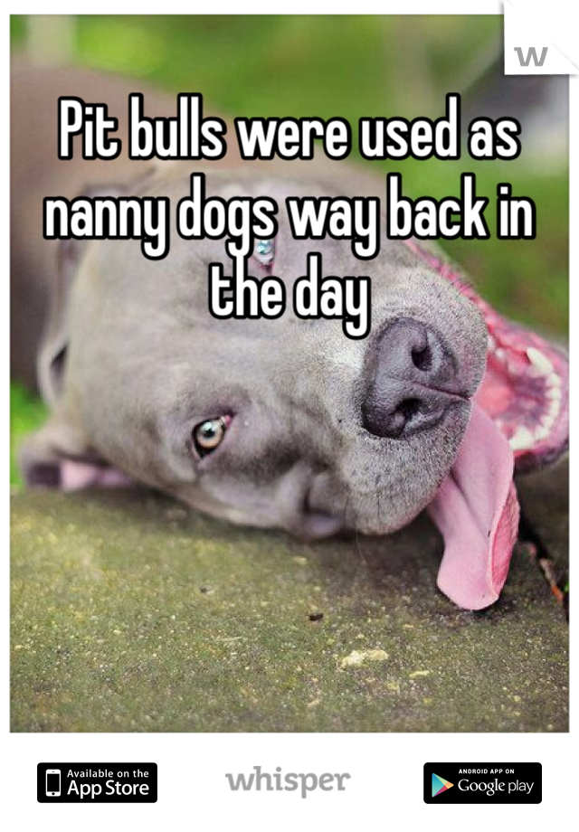 Pit bulls were used as nanny dogs way back in the day