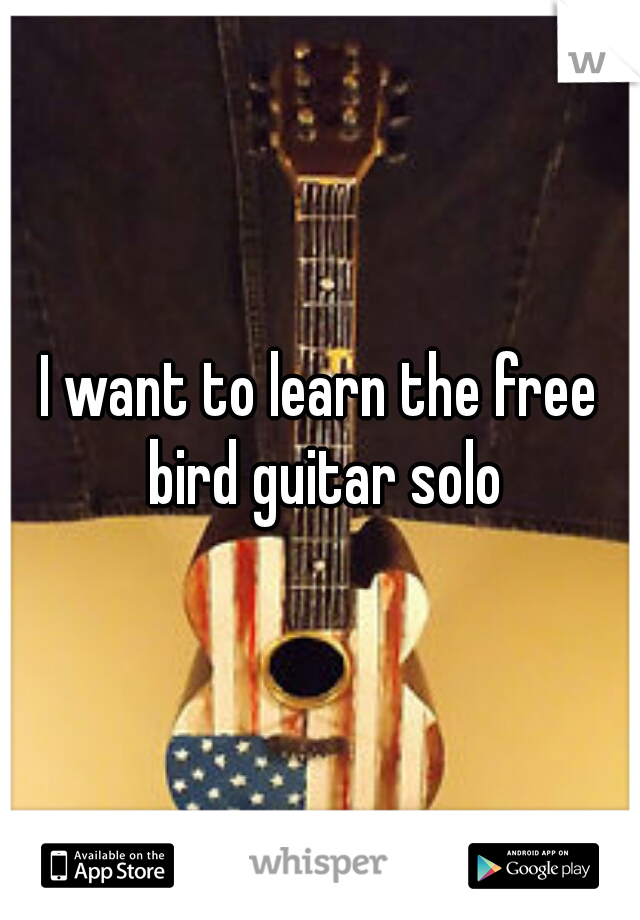 I want to learn the free bird guitar solo