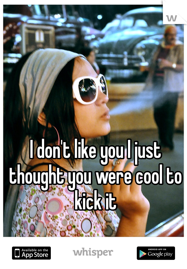 I don't like you I just thought you were cool to kick it 