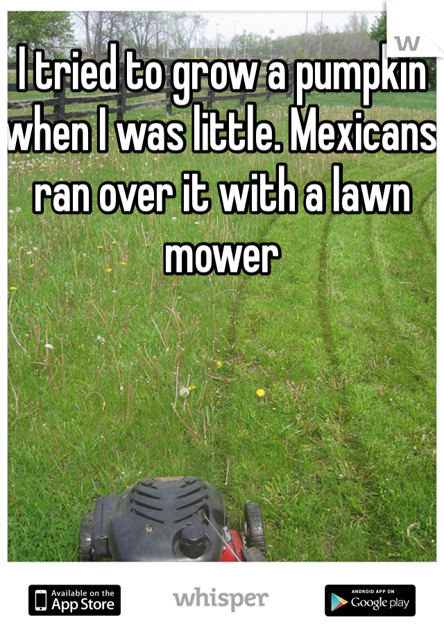 I tried to grow a pumpkin when I was little. Mexicans ran over it with a lawn mower 