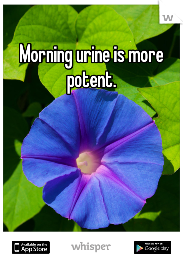Morning urine is more potent. 