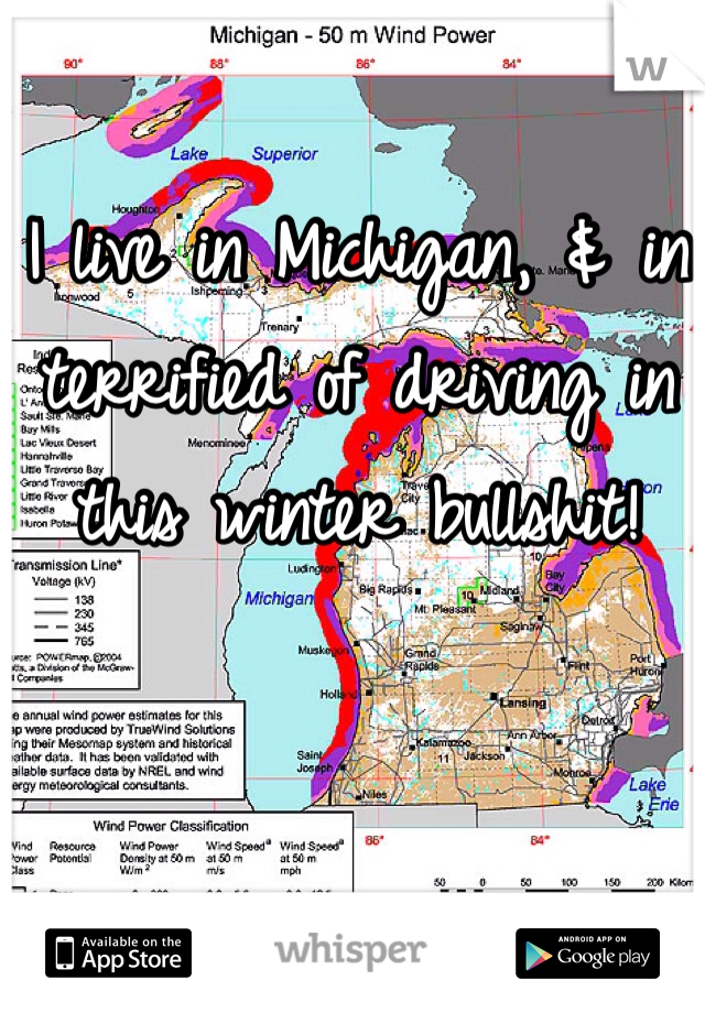I live in Michigan, & in terrified of driving in this winter bullshit! 