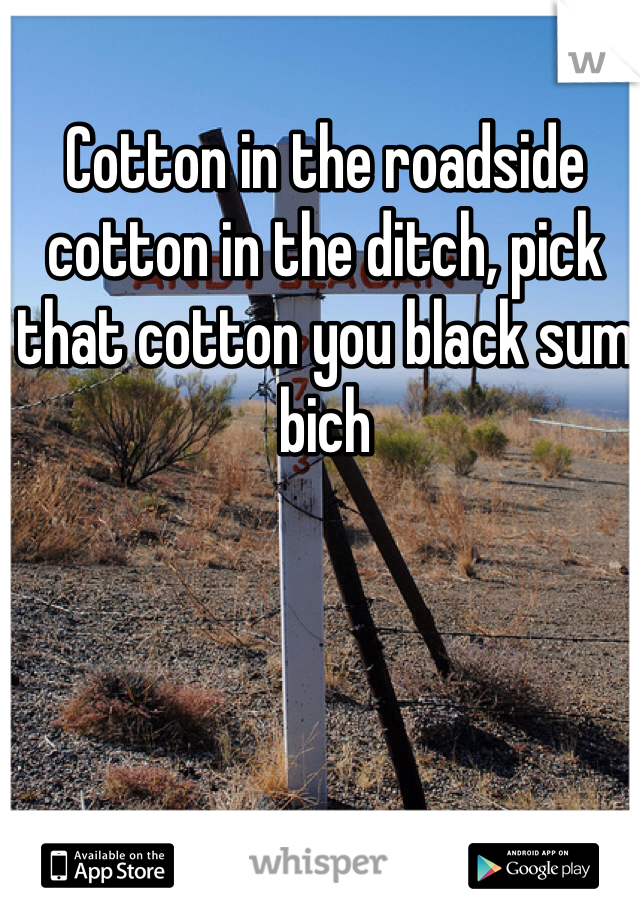 Cotton in the roadside cotton in the ditch, pick that cotton you black sum bich