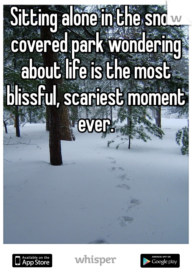 Sitting alone in the snow covered park wondering about life is the most blissful, scariest moment ever.