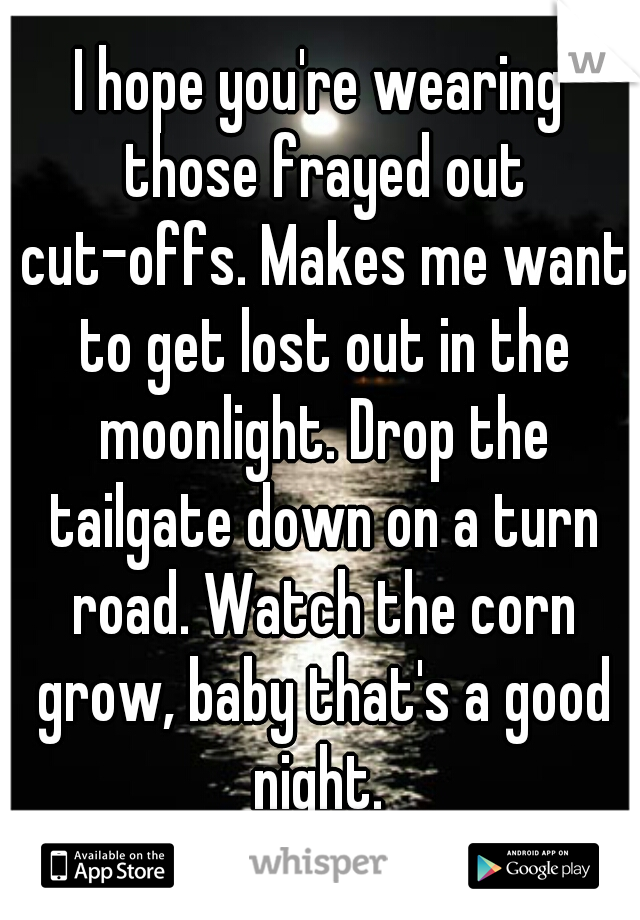 I hope you're wearing those frayed out cut-offs. Makes me want to get lost out in the moonlight. Drop the tailgate down on a turn road. Watch the corn grow, baby that's a good night. 