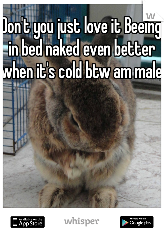 Don't you just love it Beeing in bed naked even better when it's cold btw am male 