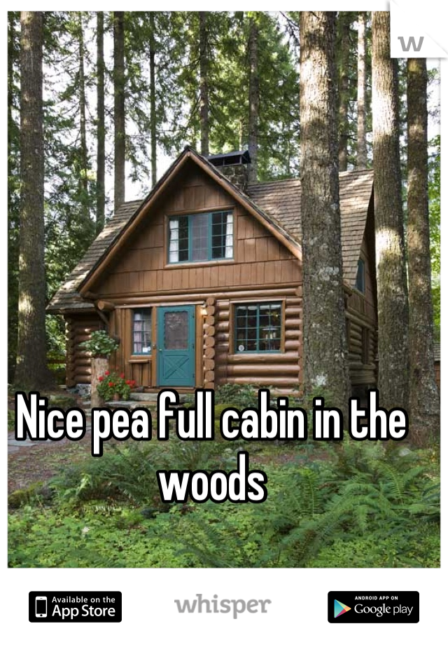 Nice pea full cabin in the woods