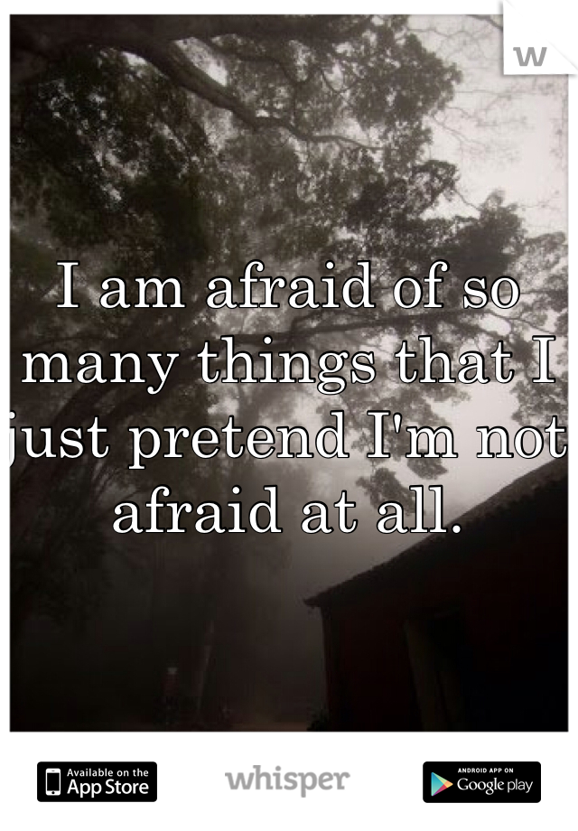 I am afraid of so many things that I just pretend I'm not afraid at all.