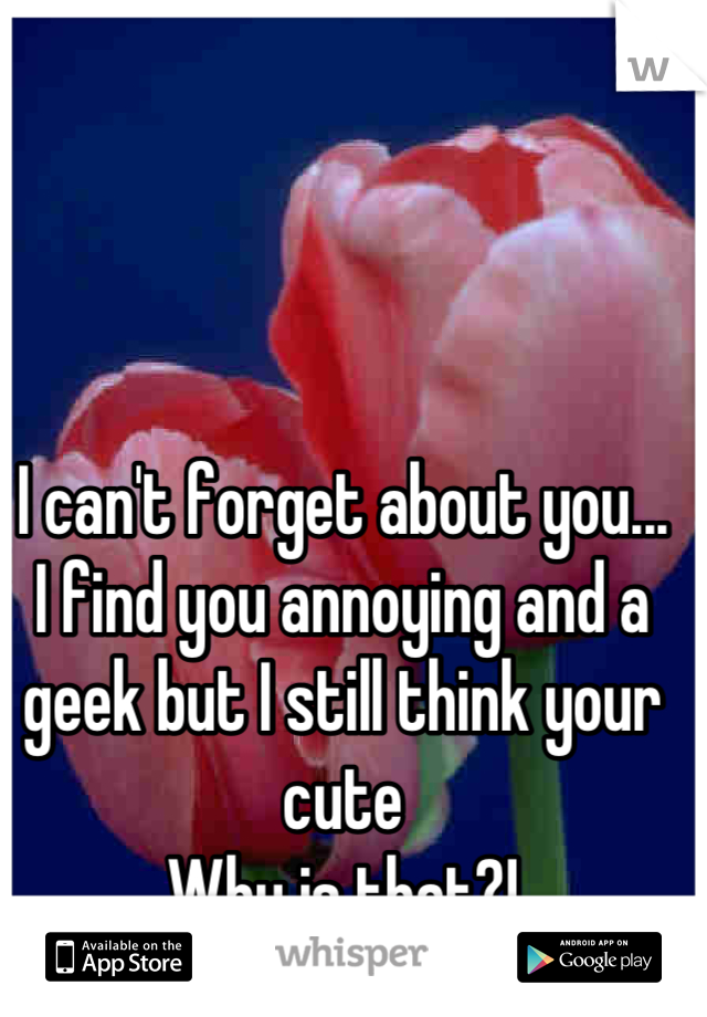 I can't forget about you...
I find you annoying and a geek but I still think your cute 
Why is that?!
