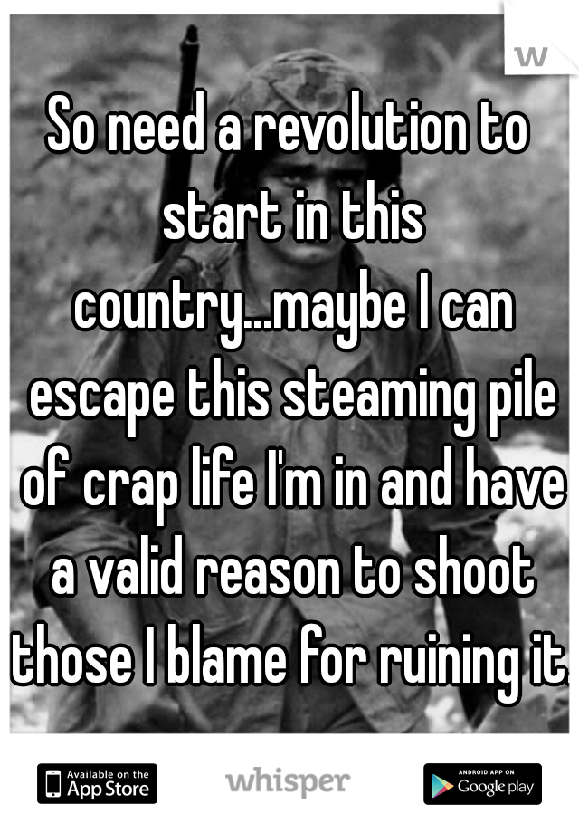 So need a revolution to start in this country...maybe I can escape this steaming pile of crap life I'm in and have a valid reason to shoot those I blame for ruining it.