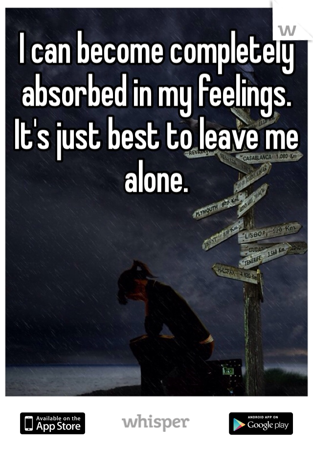 I can become completely absorbed in my feelings. It's just best to leave me alone. 