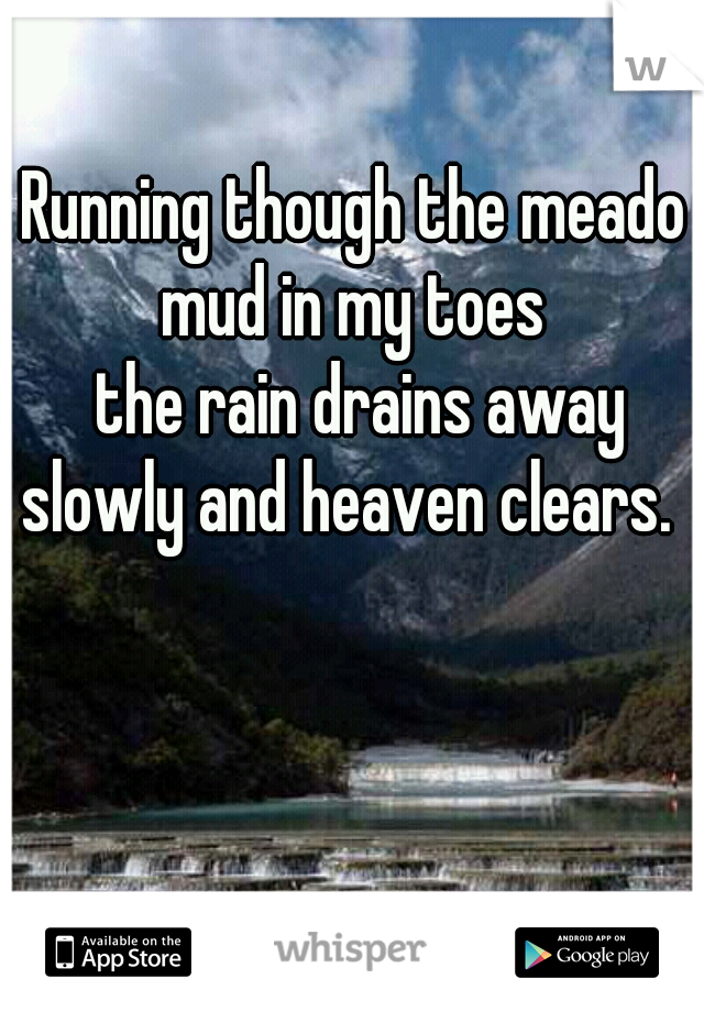 Running though the meadow
mud in my toes
 the rain drains away slowly and heaven clears.      