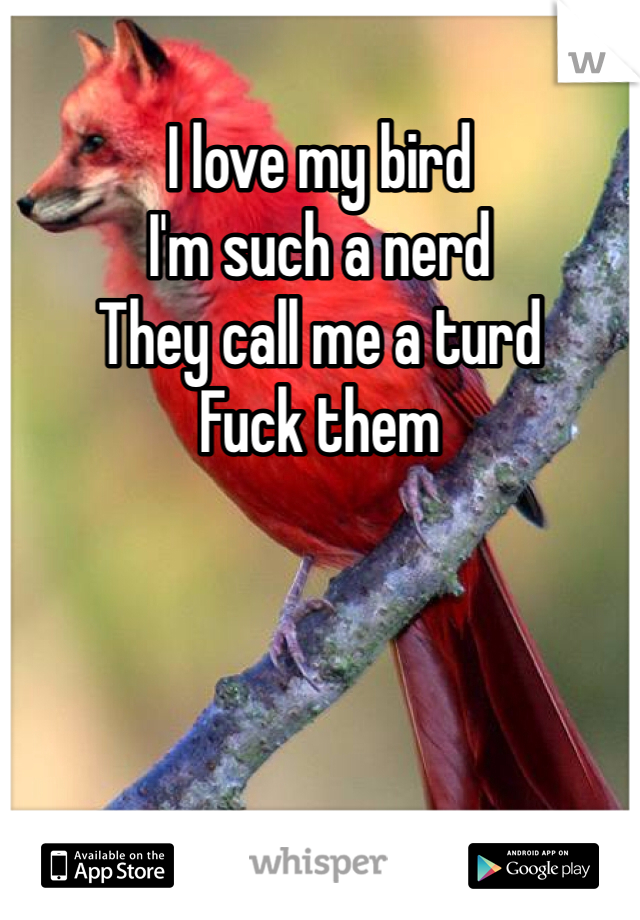 I love my bird
I'm such a nerd
They call me a turd
Fuck them